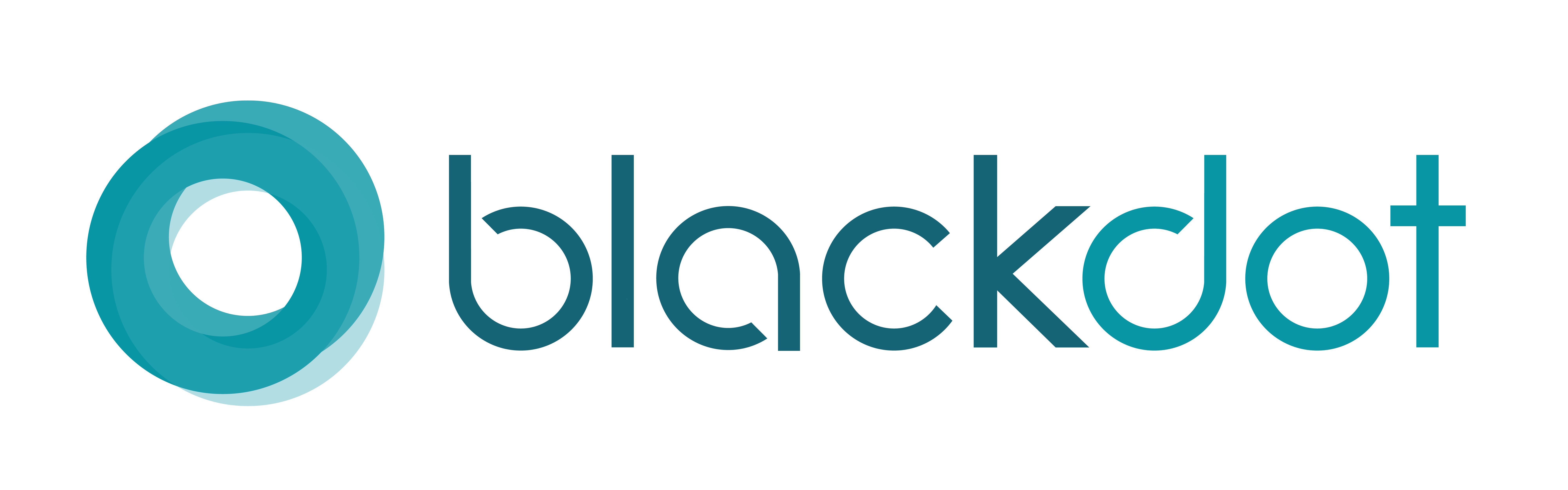 Blackdot Solutions Logo