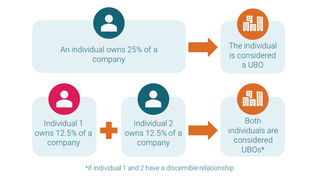 A diagram summarising FATF’s definition of beneficial ownership, which is key for sanctions investigations. It explains that an individual who owns 25% of a company is considered a UBO, and that two individuals with a discernible relationship who each own 12.5% of a company are both considered beneficial owners.